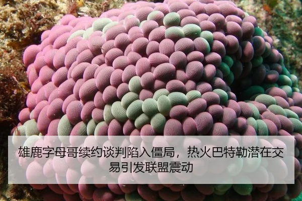 雄鹿字母哥续约谈判陷入僵局，热火巴特勒潜在交易引发联盟震动