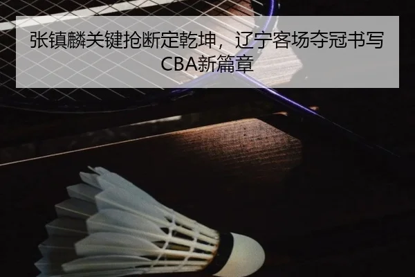张镇麟关键抢断定乾坤，辽宁客场夺冠书写CBA新篇章