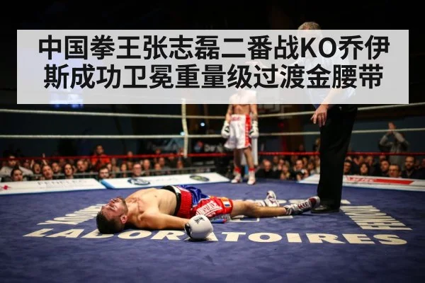 boxer knockout